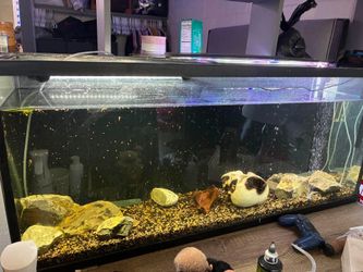 empty 55 gal tank with setup