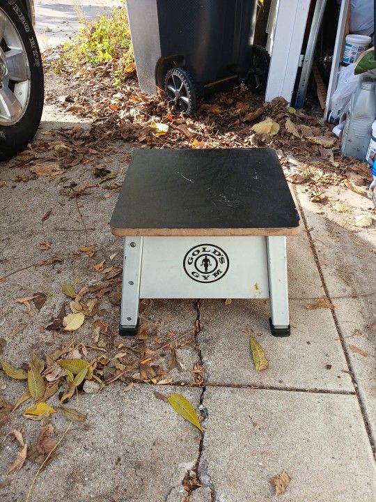 Gold's Gym Stool