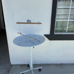 Bird Stand