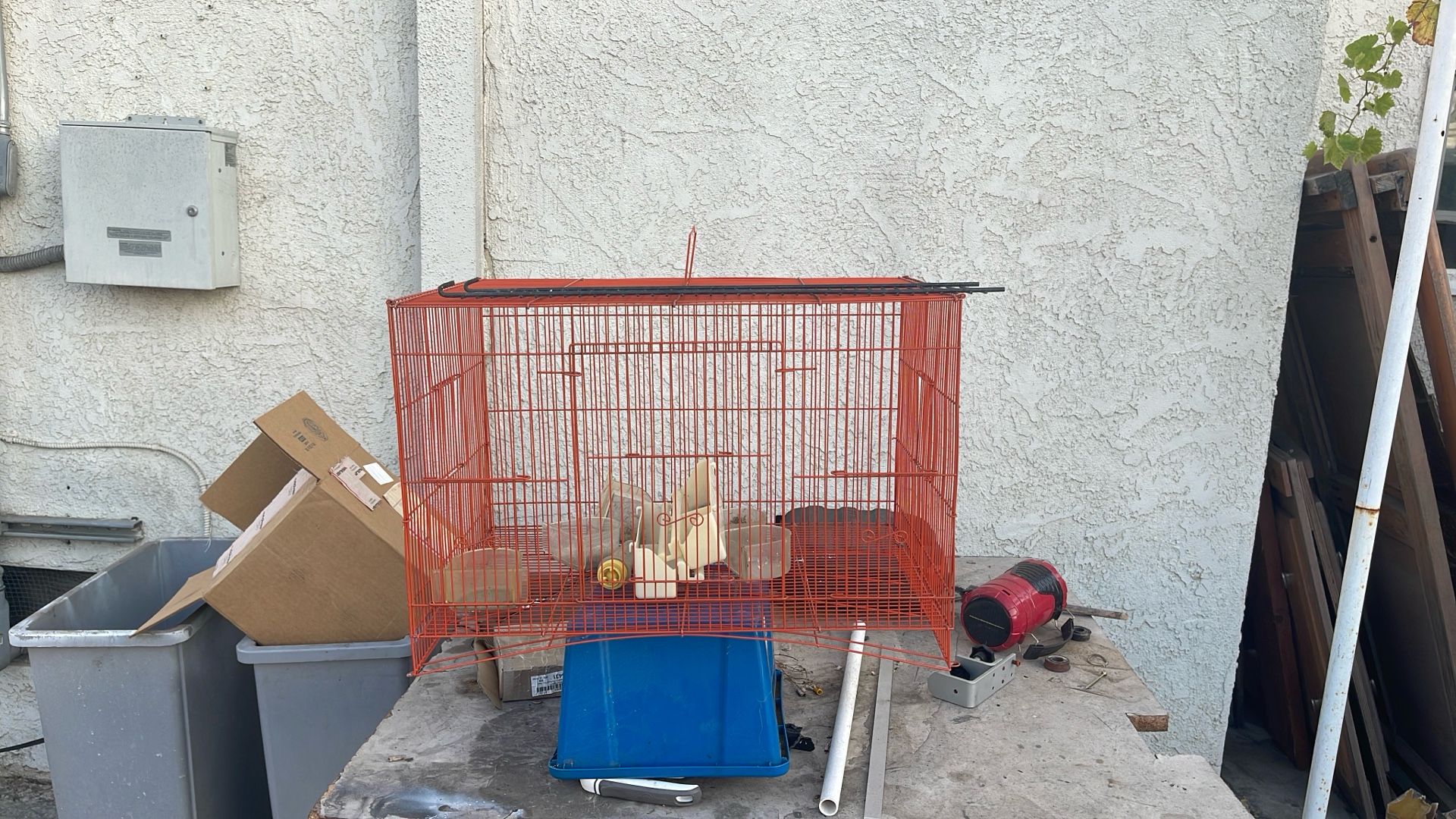 Bird Cage