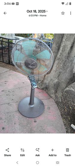 Oscillating pedestal fan