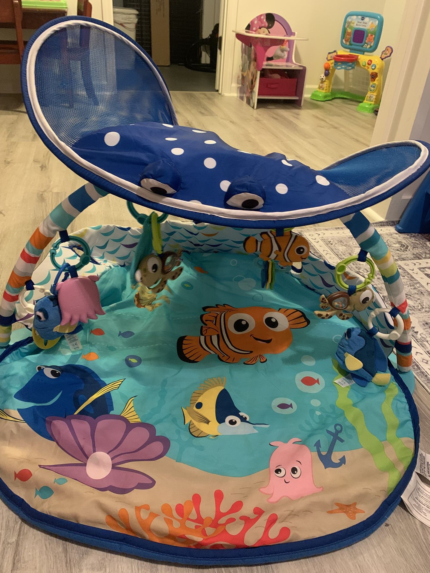 Disney Activity Gym