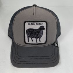 Black Sheep Goorin bros adjustable hat 🧢