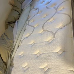 Twin Mattress/ Twin Bed 