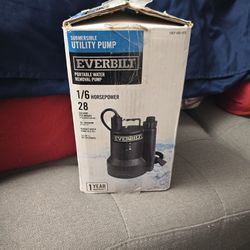 EVERBILT  PORTABLE WATER REMOVAL-PUMP