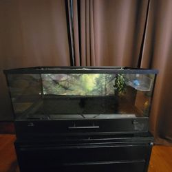 Reptile Enclosure