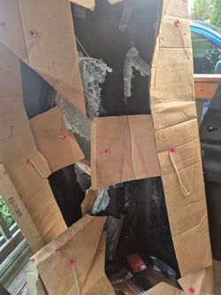 Fender for 59 Chevy truck
