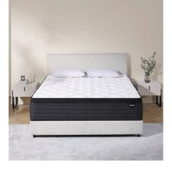 Queen Size Mattress And Box Spring 200 $