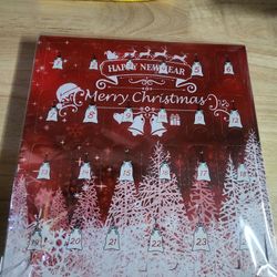 Christmas Advent Calendar Metal Brain Teasers 