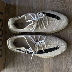 Yeezy 350v2 Size 12