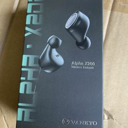 Wireless Earbuds 