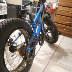 Mongoose 20 Inch Fat Tire 