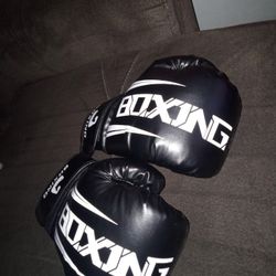 Black Training Boxing Gloves 
