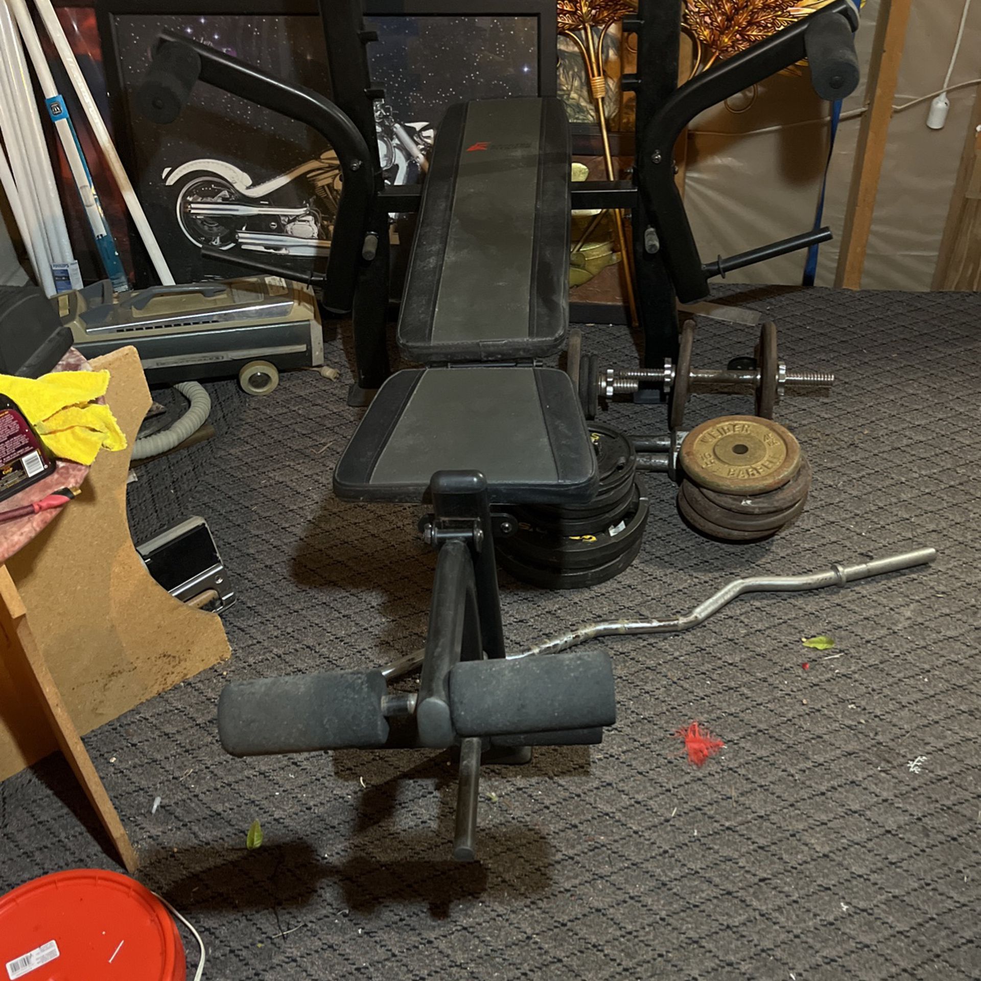 Weight bench and bar with weights 