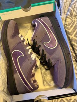 SB DUNKS 10.5