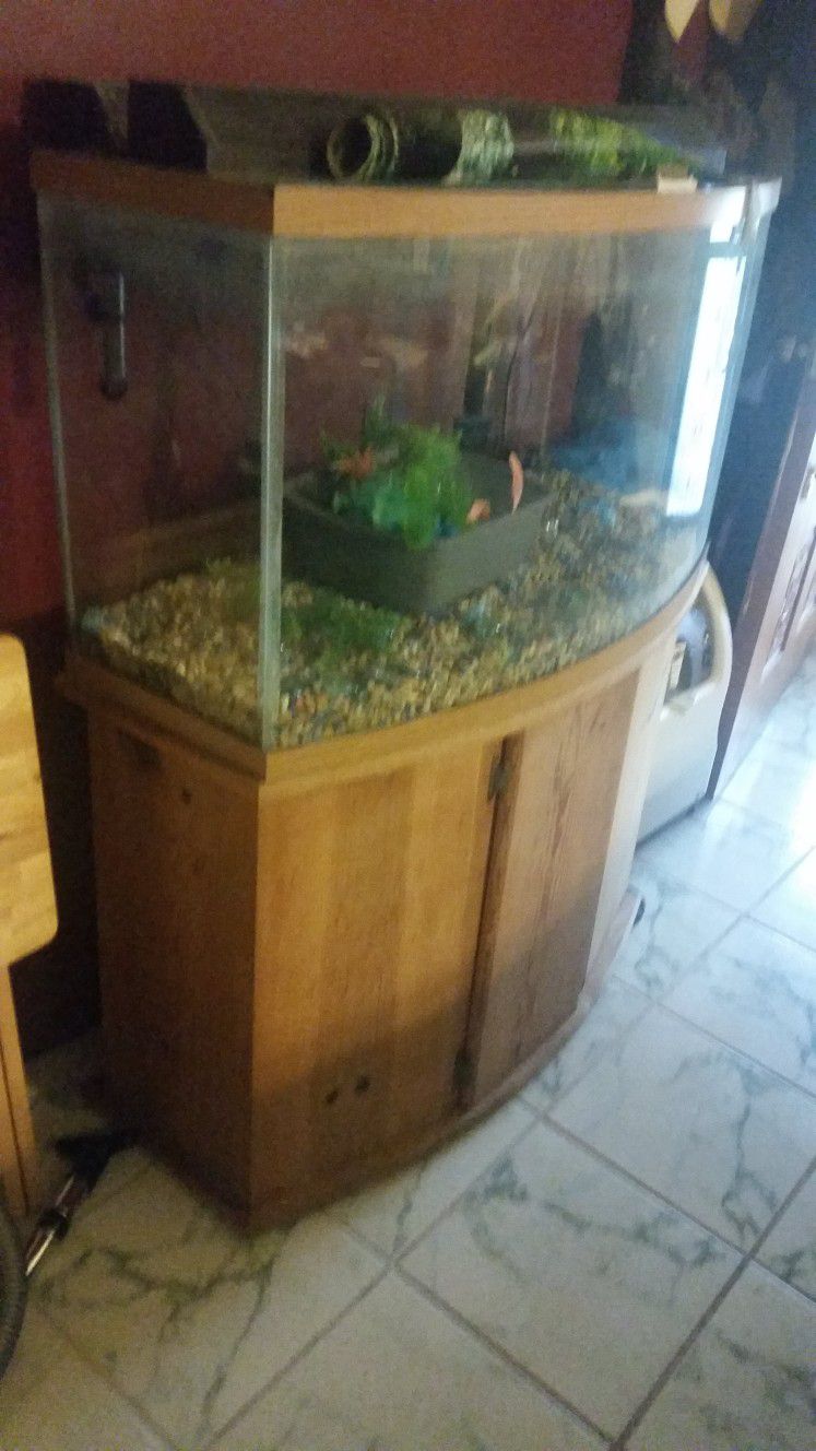 BOW FRONT FISH TANK WITH CABINET 55 GAL