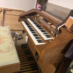 Organ 