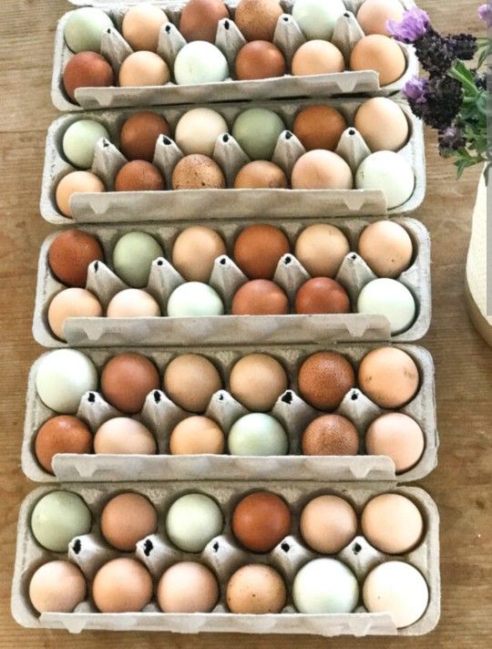 Farm Fresh Eggs