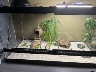Reptile Tank w/Accessories 40gallon