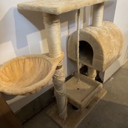 Cat Scratching 
