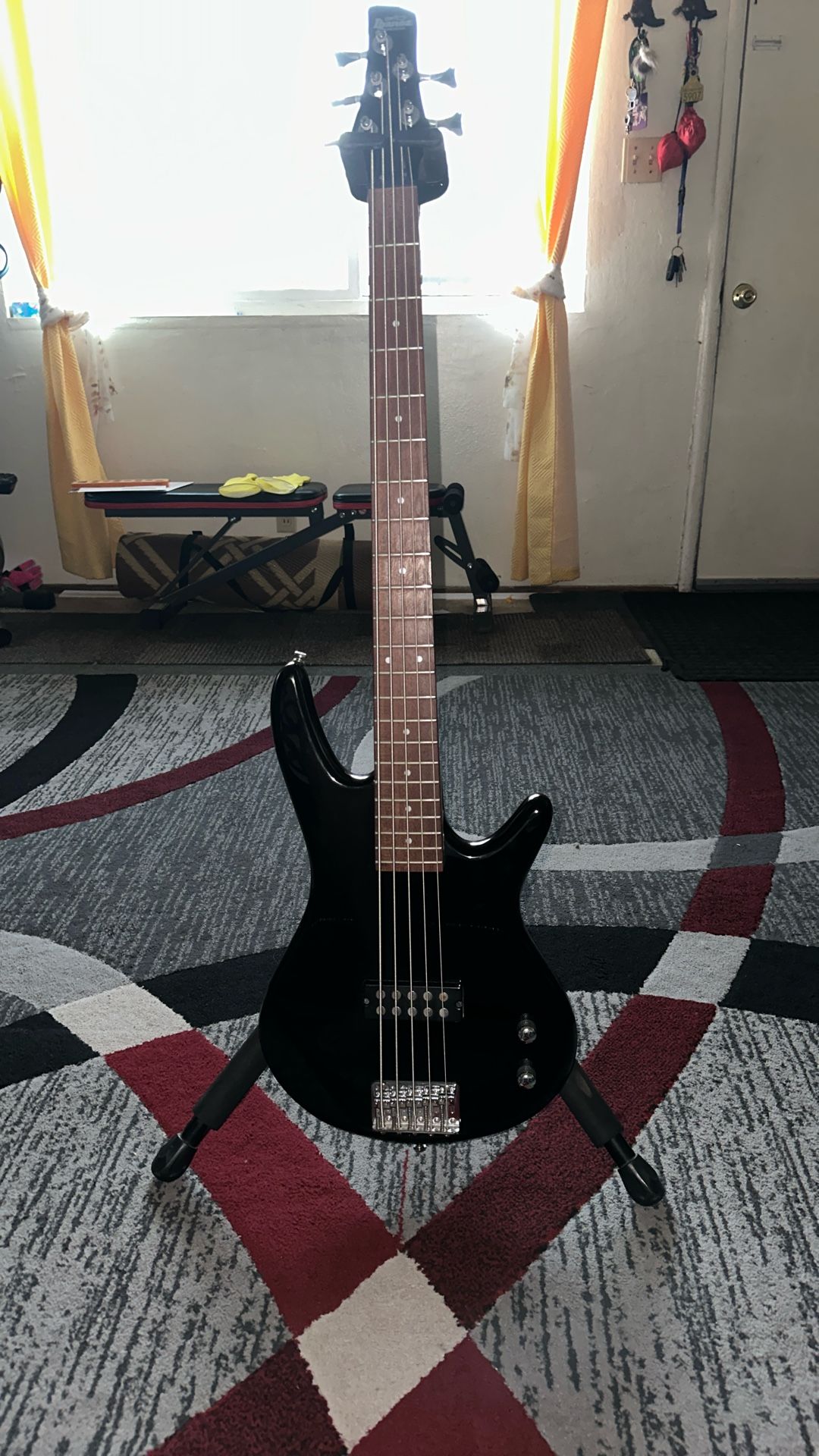 Ibanez Gio GSR105EX 5 String
