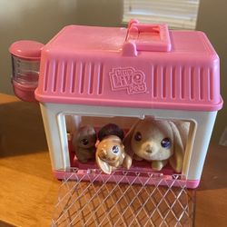 Little Live Pets   New Conditions 