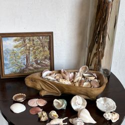 Sea Shells