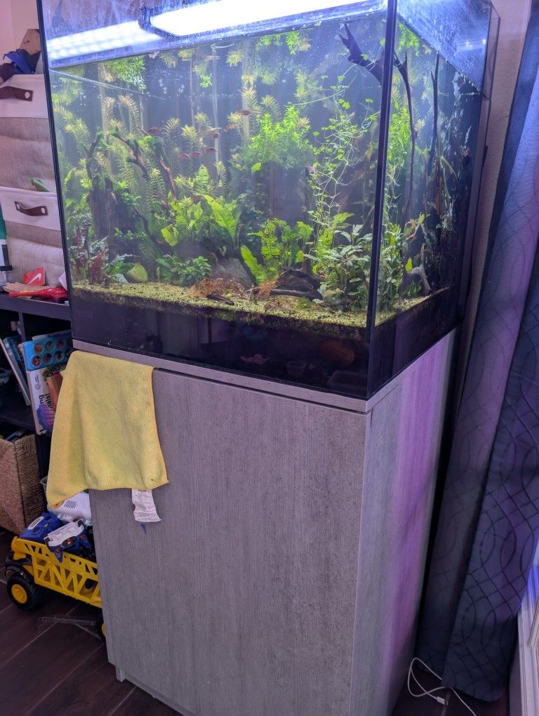 Fish Tank