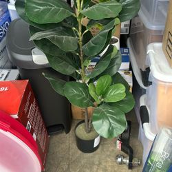 Fiddle Fig Leaf Fake Plant 2.625 Square Feet  10.00