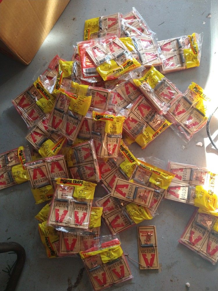 Traps Mouse Traps