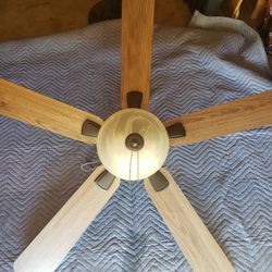 Ceiling Fan