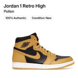 Jordan 1 Retro High Pollen Size 9