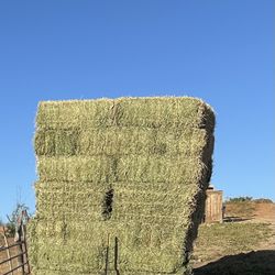 Alfalfa Hay Number 1 Alfalfa 