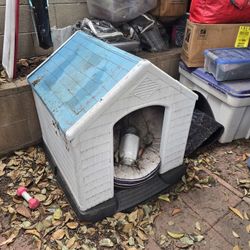 Great Dog House For The Coming Rain!!