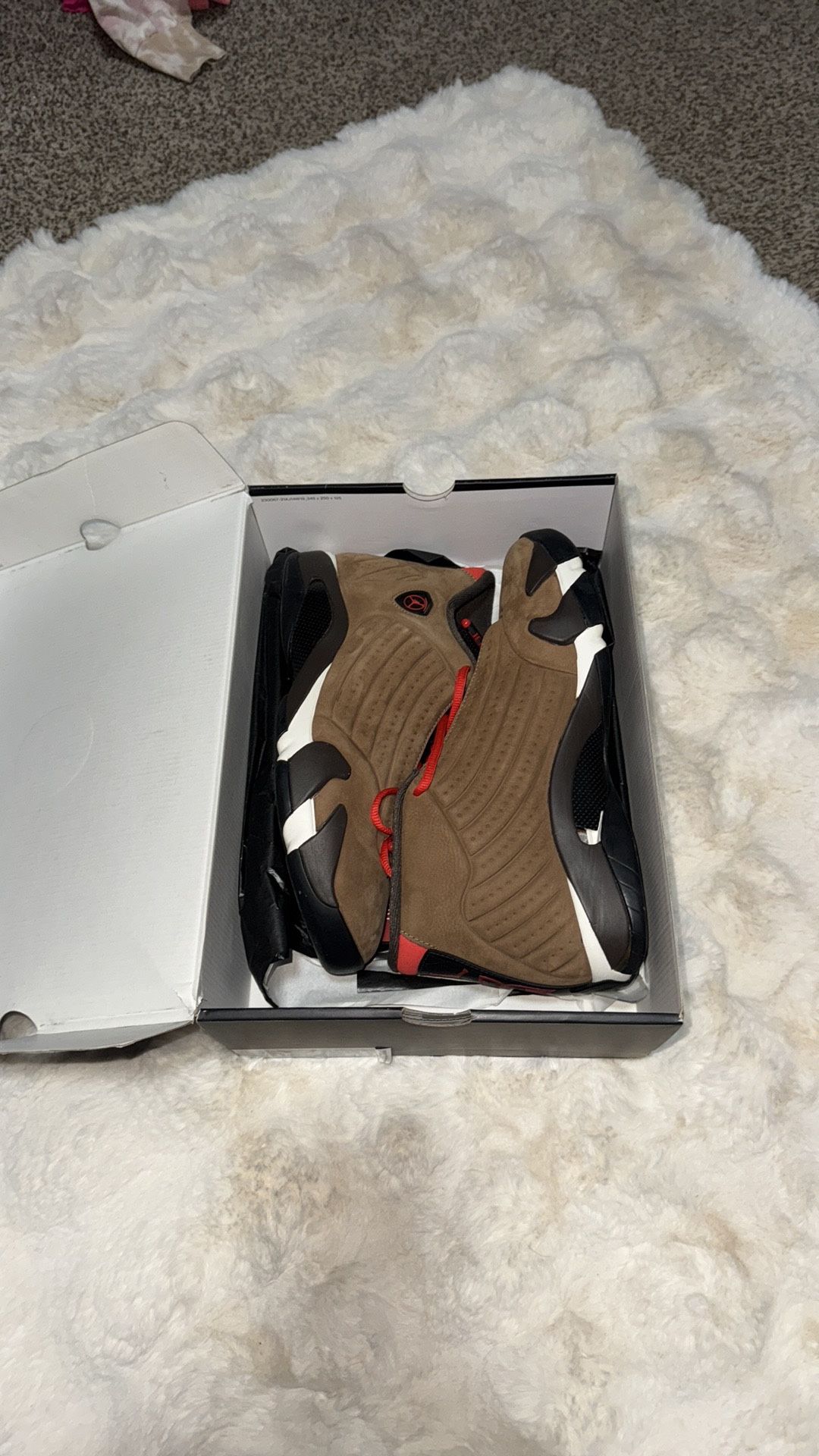 Jordan retro 14s Men size 11 Brand new In Box