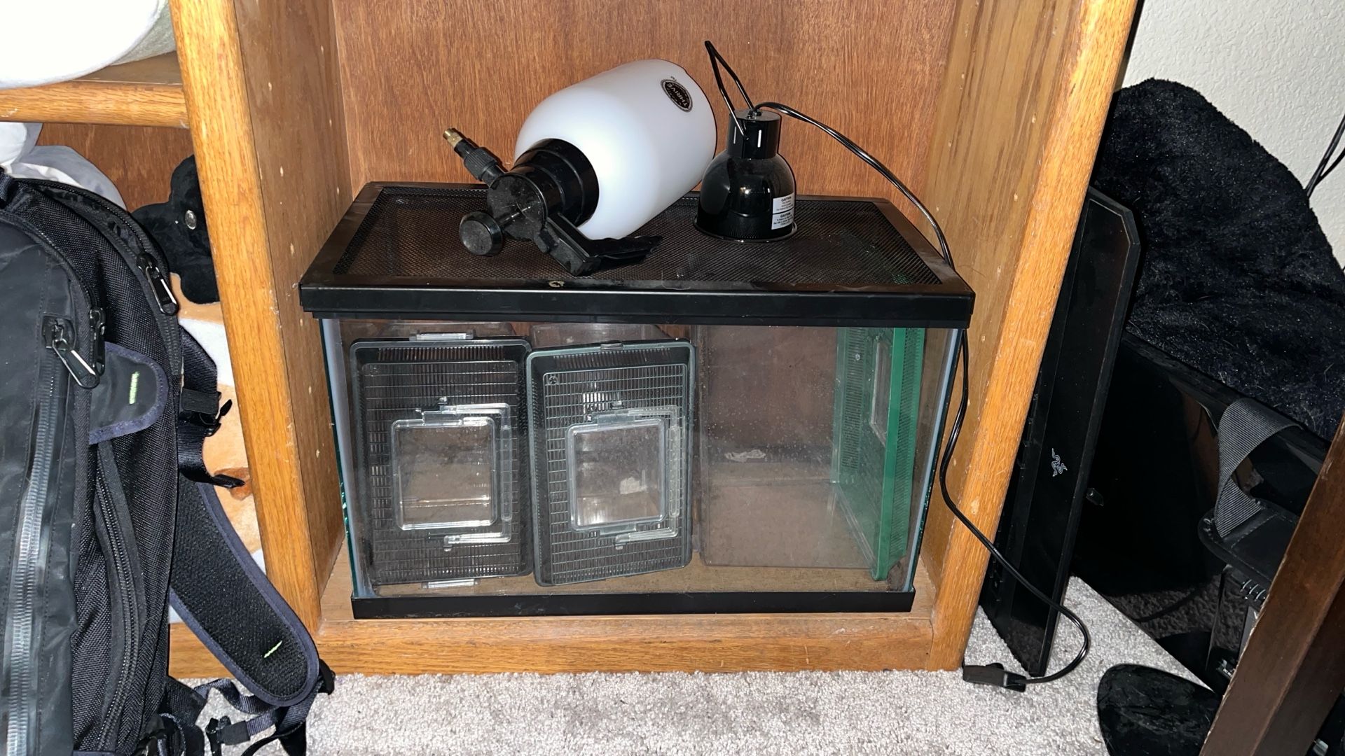 10 Gallon Tank w/ Accessories 
