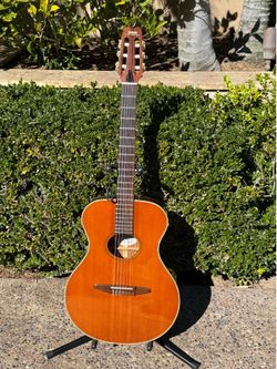 Yamaha APX-6N Acoustic-Electric Classical Guitar with HSC