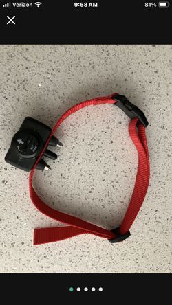 Bark Control Collar 🐕🦺🐕🐩