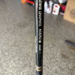 Deep Sea Fishing Pole And Reel  Daiwa Brand