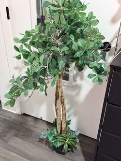 Large Artificial Ficus Tree with Pot