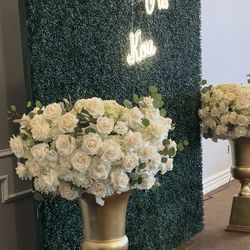 Hedge Wall Green Backdrop SALE