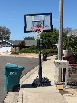 Basketball hoop free