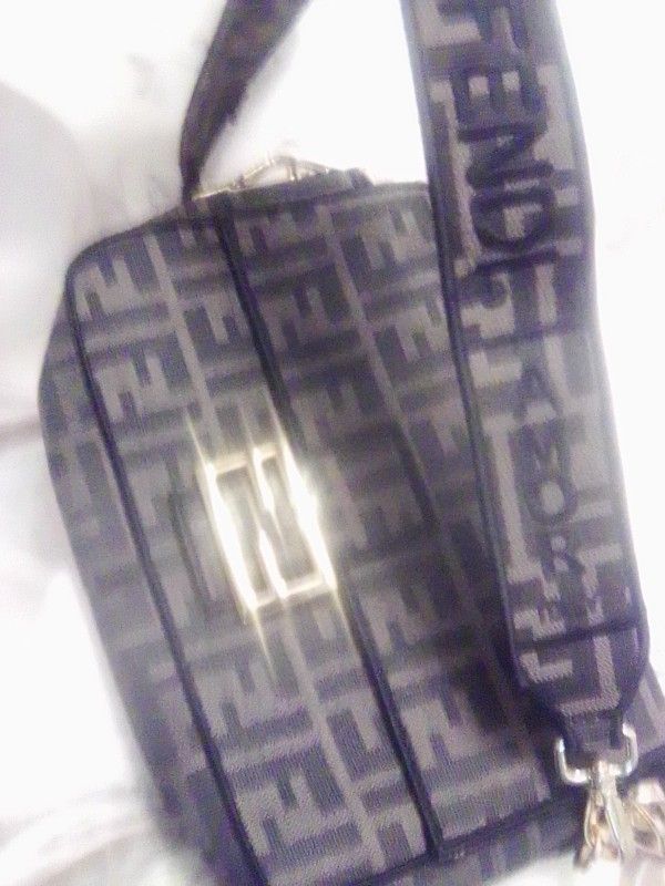 Fendi Hand Bag