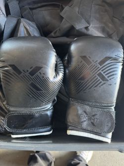 Boxing Gloves 8-10oz