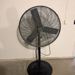 Fan 