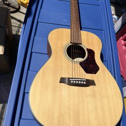 Acoustic Steel String Guitar Walden Natura0550