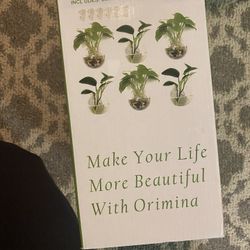 Glass Hanging Pots / Vases