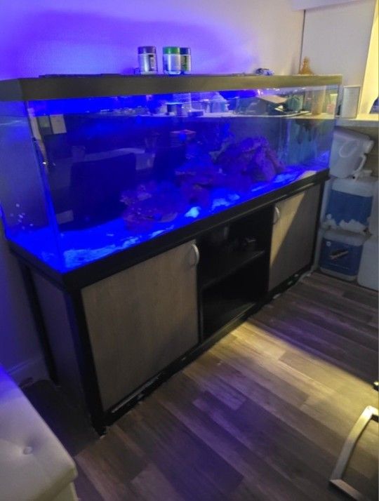 120 Gallon With Stand Filter And Rock