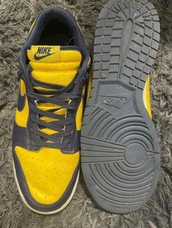 Nike Michigan dunks 11 men’s