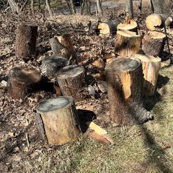 Tree Rounds12”-24”